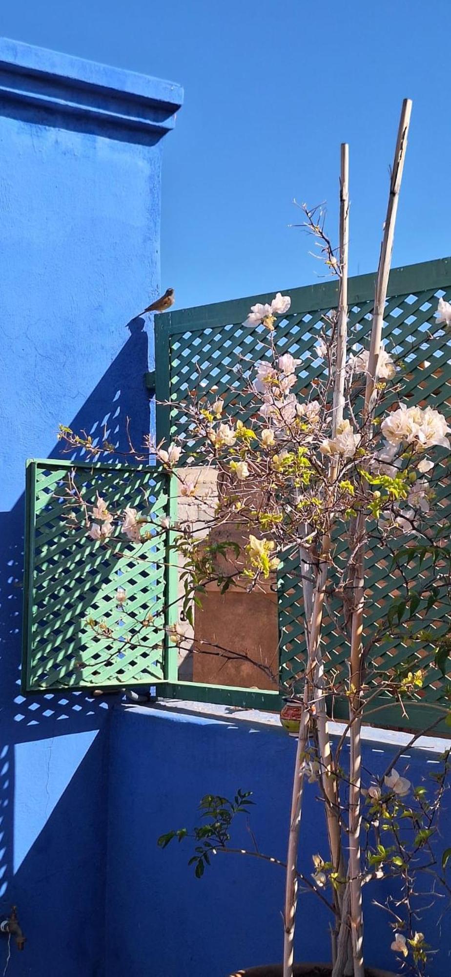 Riad Med Agora Marrakesh Eksteriør billede