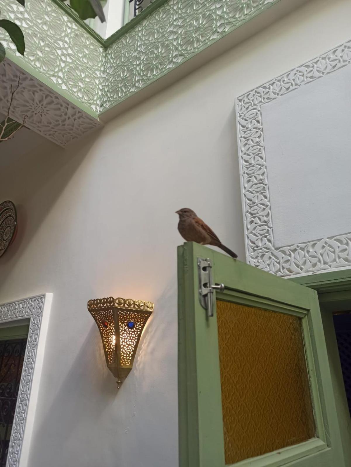 Riad Med Agora Marrakesh Eksteriør billede
